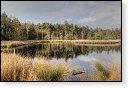 Oisterwijkse Bossen en Vennen Kampina natuurgebied natuur oisterwijk Nationaal park Landschap Het Groene Woud hei heide bossen natuurmonumenten brabant baronie boswachterij dorst